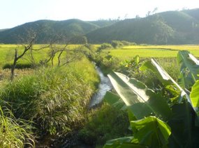 The Great Autumn Rice Harvest Ride 9