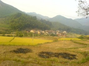 Ancient Taining Town 20