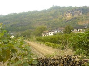 Wuyi Shan Day One 12