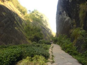 Wuyi Shan Day One 3