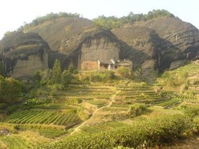 Wuyi Shan Day One 5