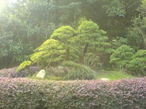 Wuyi Shan Day Two 12
