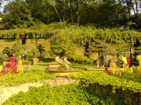 Wuyi Shan Day Two 18