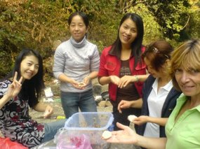 Waterfall Picnic