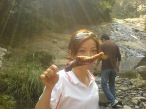 Waterfall Picnic 1