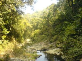 Waterfall Picnic 15