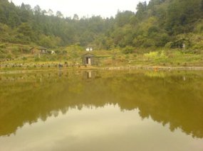 The Fish Farm Adventure 11