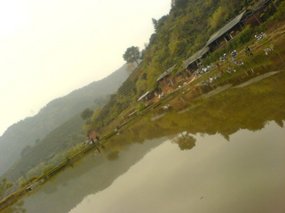 The Fish Farm Adventure 13