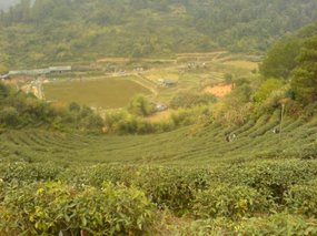 The Fish Farm Adventure 14