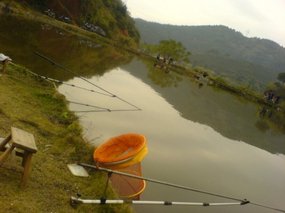 The Fish Farm Adventure 3