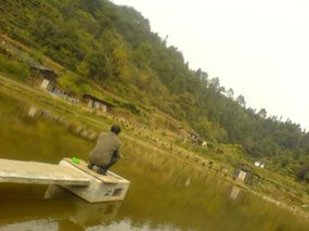The Fish Farm Adventure 4