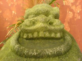 The Nanping Medical Adventure 03