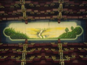 The Nanping Medical Adventure 13