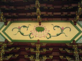 The Nanping Medical Adventure 14