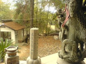 The Nanping Medical Adventure 17