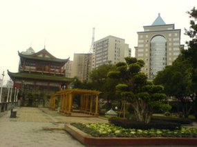 The Nanping Medical Adventure 28