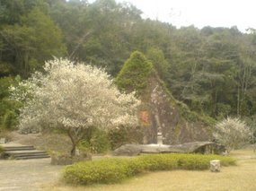 Wuyi Shan With Amigo Day 1 22