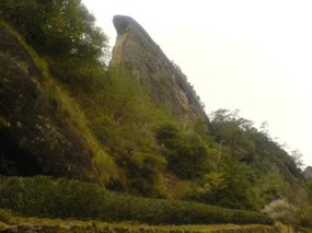 Wuyi Shan With Luo Wei Day 2 11