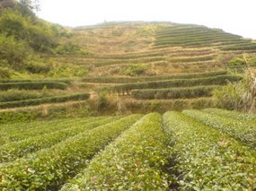 Wuyi Shan With Luo Wei Day 2 17
