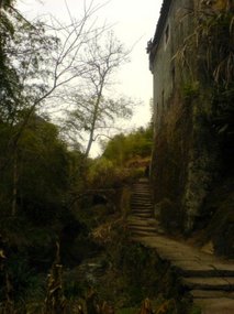 Wuyi Shan With Luo Wei Day 2 22