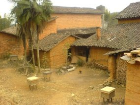 Village Temple Ride With Luo Wei 04