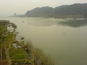 My Fifth Spring Festival