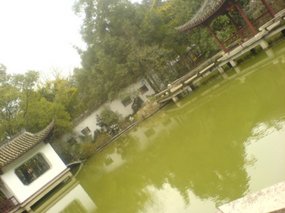 My Fifth Spring Festival 29