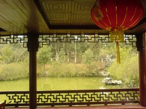 My Fifth Spring Festival 30