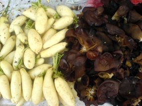 My Third Year Dumpling Feast 17