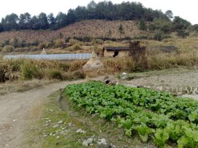 Womens Day Feast & Ride 10