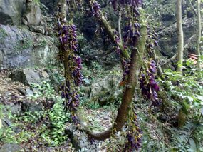 Yuhua Cave Adventure 12