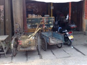 Push Peddle & Pull 02