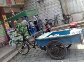 Push Peddle & Pull 06