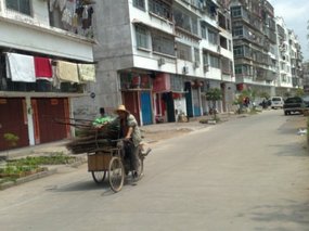 On Walkabout 12