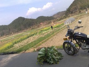 Huge Afternoon Ride 08