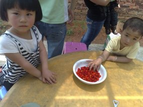 May Day Celebrations 15
