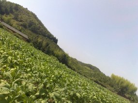Mountain Village Bike Ride 05