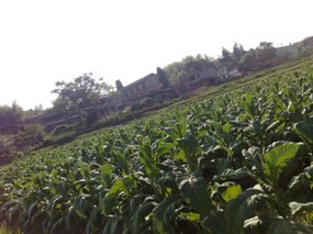 Mountain Village Bike Ride 37
