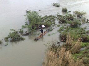 Cormorant Fishing 02