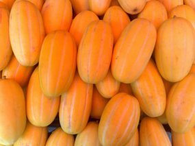 Fresh Melon Snax