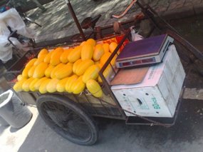 Fresh Melon Snax 01