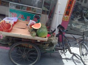 Fresh Melon Snax 02