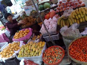 Fresh Fruit Snax 01