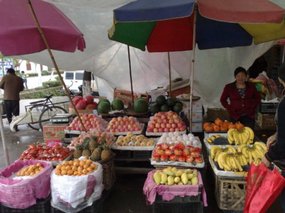 Fresh Fruit Snax 02