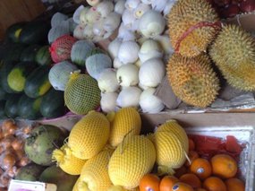 Fresh Fruit Snax 03