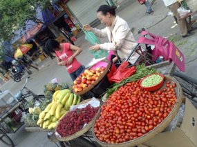 Fresh Fruit Snax 05