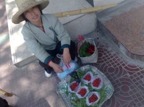 Fresh Fruit Snax 08