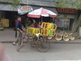 Walk About 06