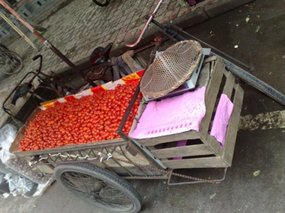 Baby Tomato Snax