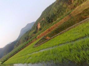 Walk About 11